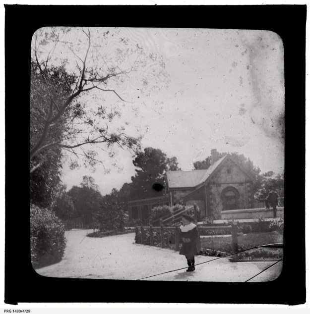 Bear (?) pit and refreshment rooms Adelaide Zoo, Fotograf: Trengove, Arthur M, © State Library of South Australia [PRG1480/4/29]