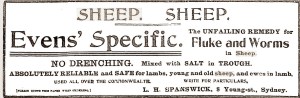 sheep remedy 1912