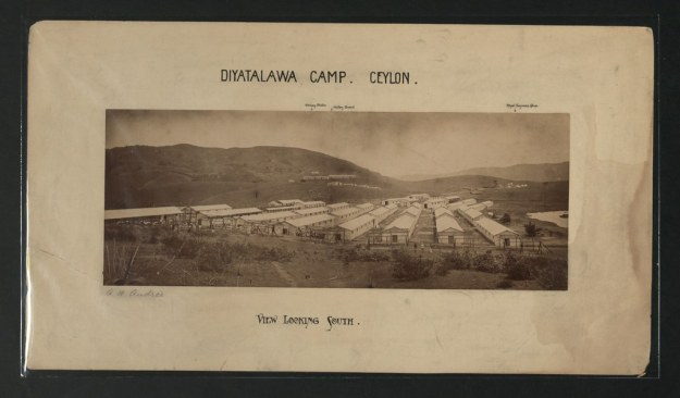Diyatalawa camp. Ceylon