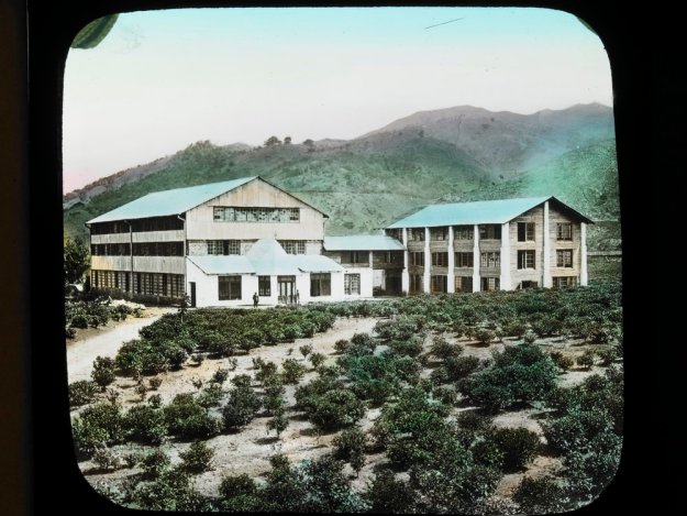 tea plantation, tea factory, ceylon