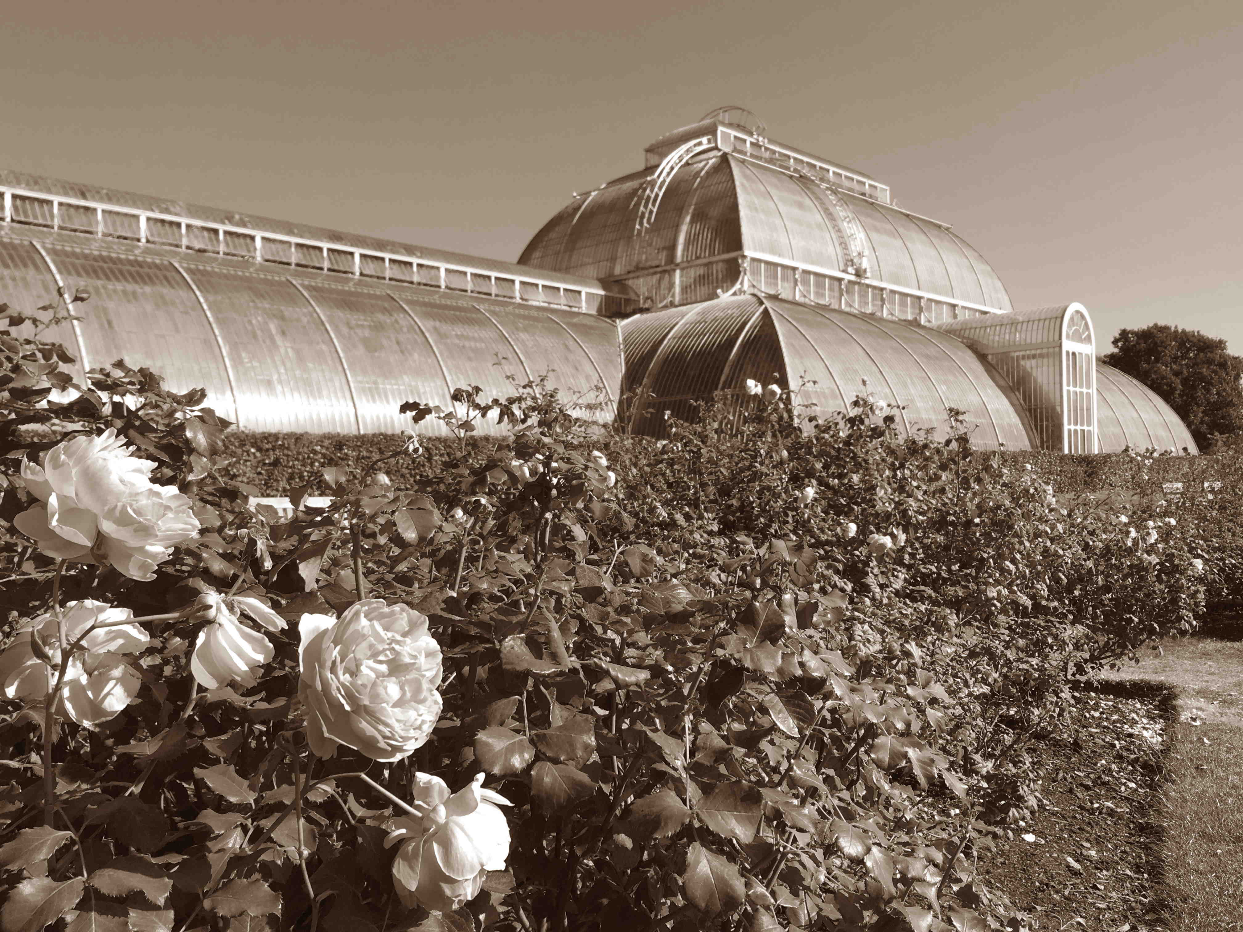 Palm House, Royal Botanical Gardens, Kew, London