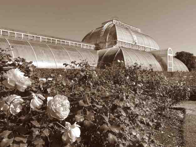 Palm House, Royal Botanical Gardens, Kew, London