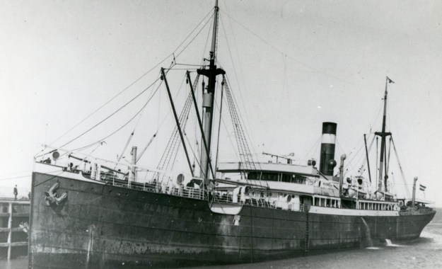 Dampfschiff "Plauen"