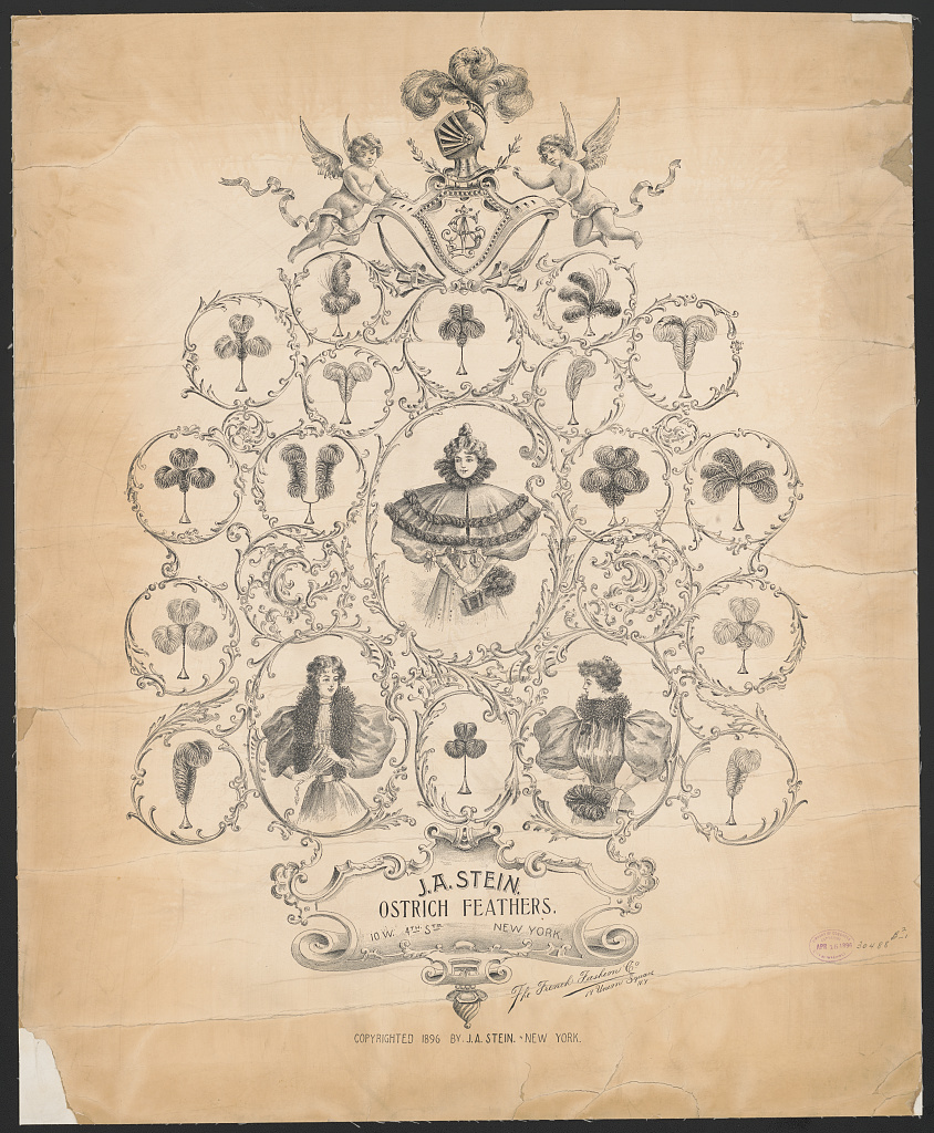 J;A. Stein, ostrich feathers, 1896