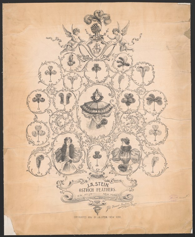 J;A. Stein, ostrich feathers, 1896