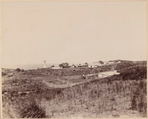 Cape Otway with lighthouse 1901
