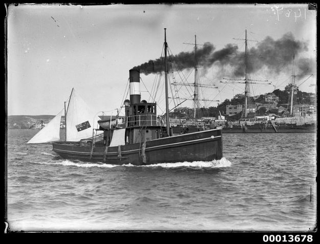 tug Gamecock, Sydney 1901