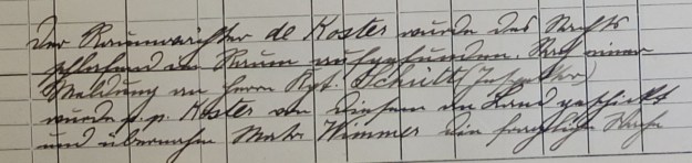 Logbuch Dampfschiff Fürth