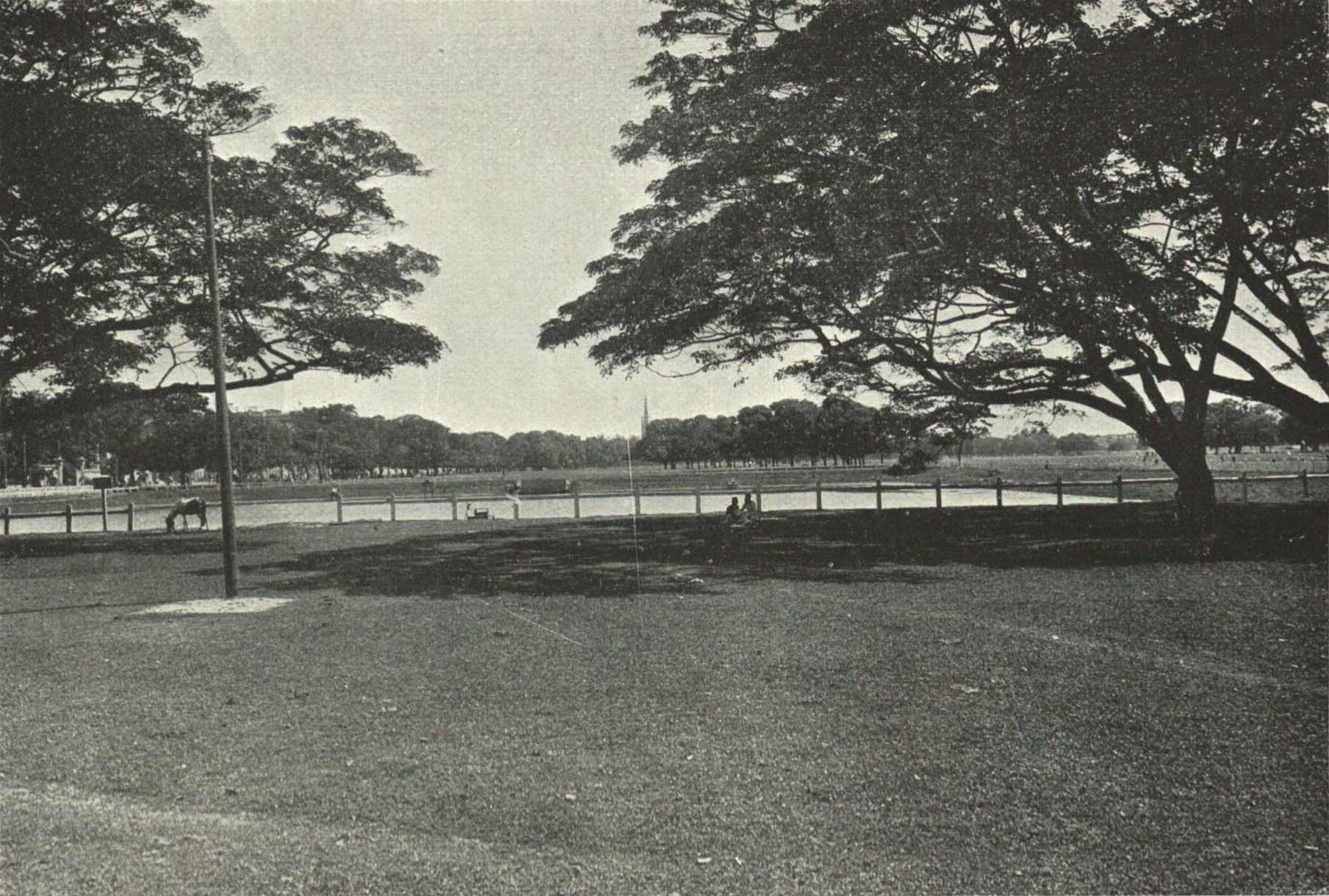 Maidan, Esplanade, Parc, Calcutta 1915