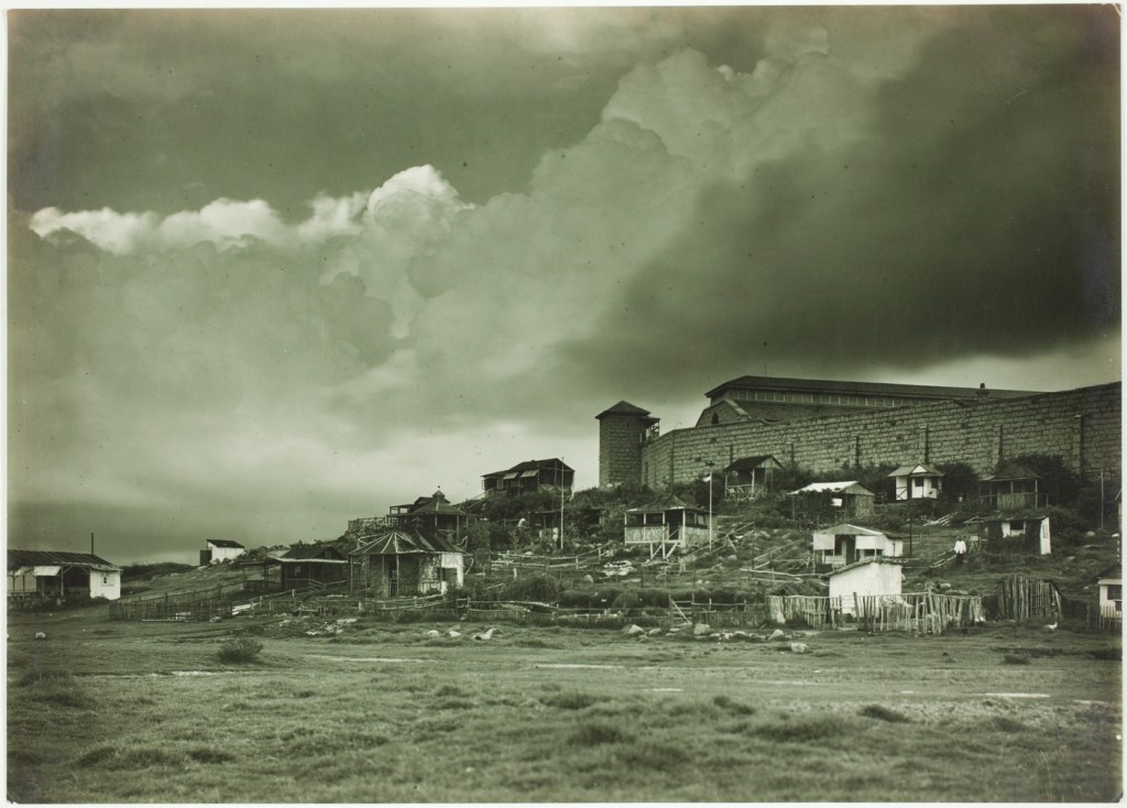 Trial Bay beach huts