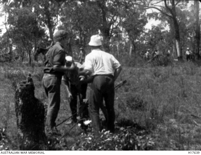Liverpool, internees clearing land, WW1