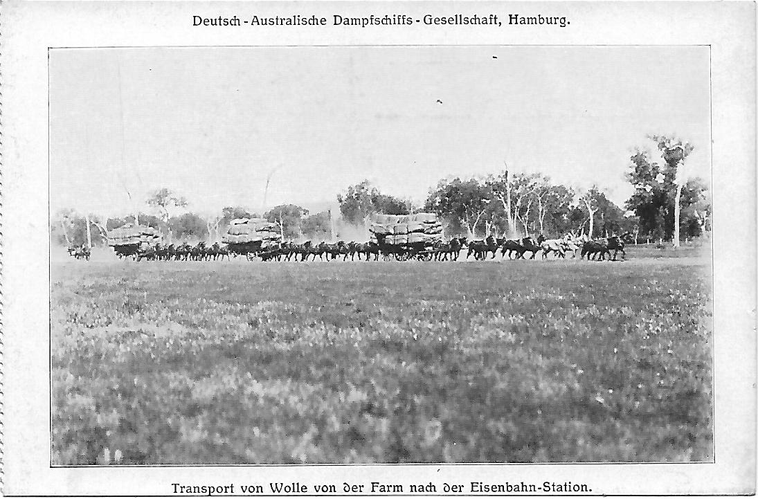 wool transport with carriages