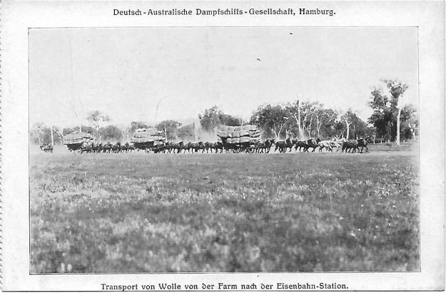 wool transport with carriages