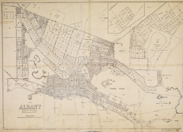 Albany map 1905