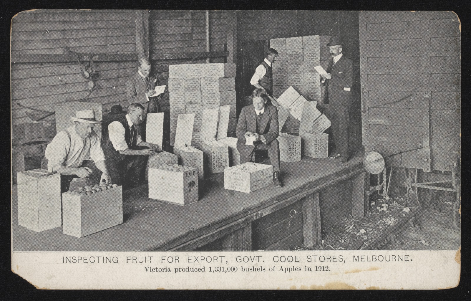 inspecting fruit 1912 melbourne