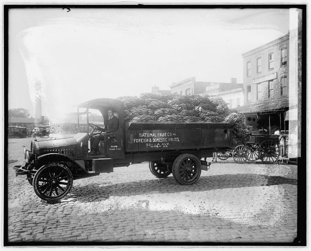 transporting bananas about 1918