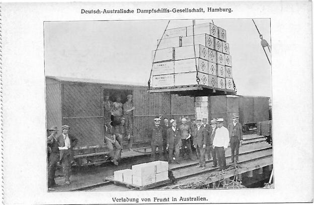 fruit shipping in australia about 1913