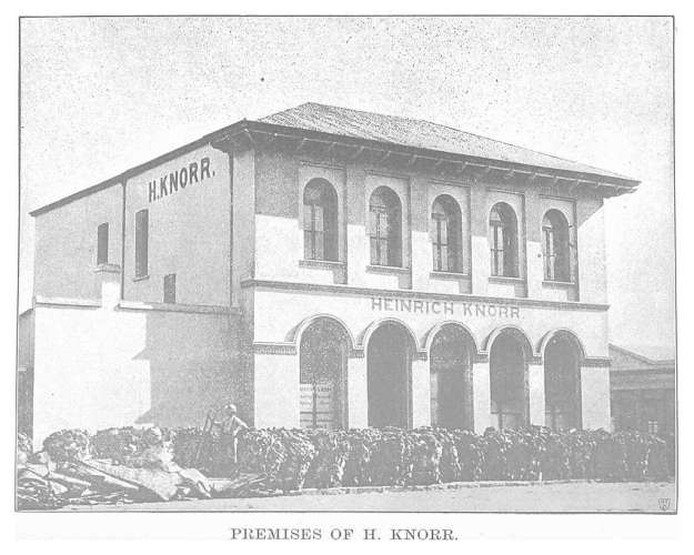 Heinrich Knorr East London 1893