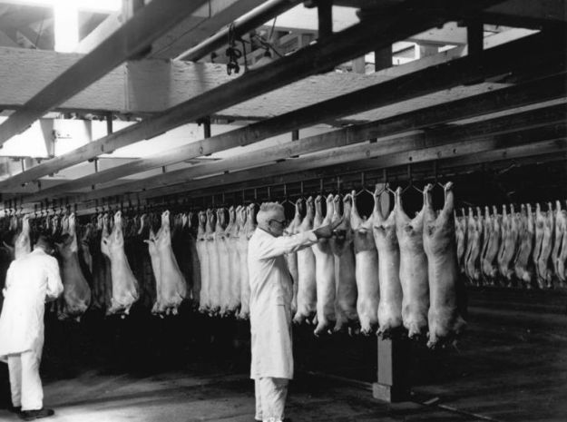 frozen mutton, new zealand 1947